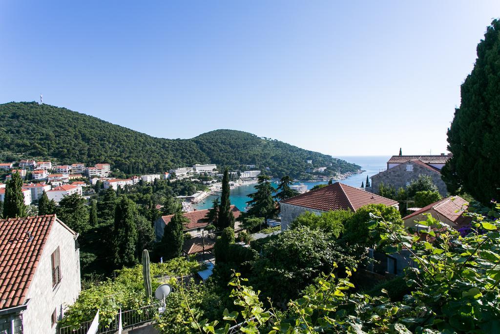 Apartments Petra Dubrovnik Værelse billede
